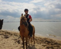 dressage horse Lucky (unknown, 1999)