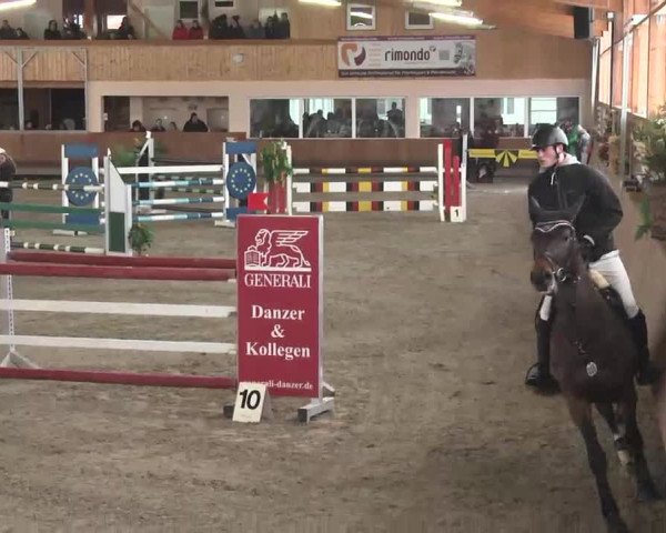 Reitturnier Dettingen 2016