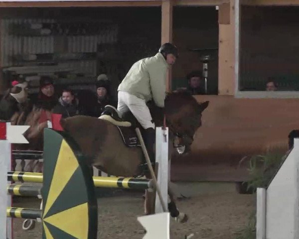 Reitturnier Dettingen 2016