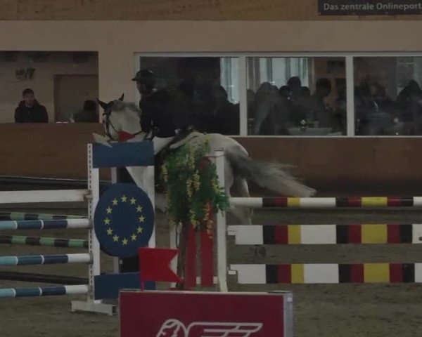 Reitturnier Dettingen 2016