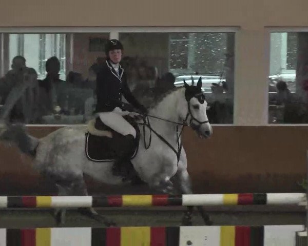 Reitturnier Dettingen 2016