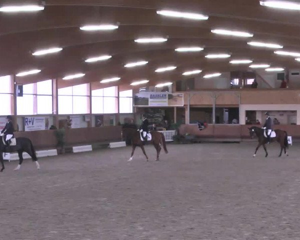 Reitturnier Dettingen 2016