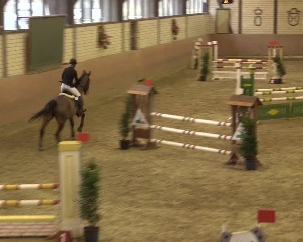 Reitturnier Hamm-Rhynern 2016