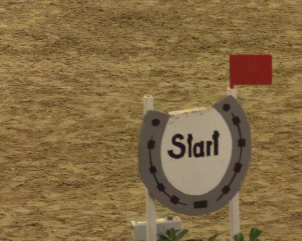 Reitturnier Hamm-Rhynern 2016