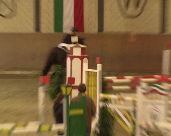Reitturnier Hamm-Rhynern 2016