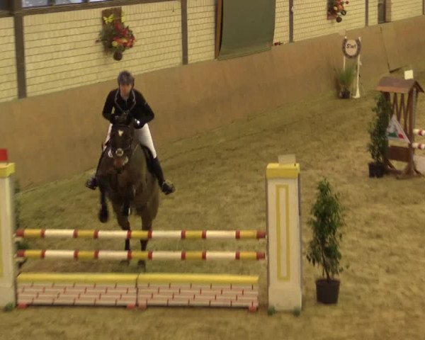 Reitturnier Hamm-Rhynern 2016