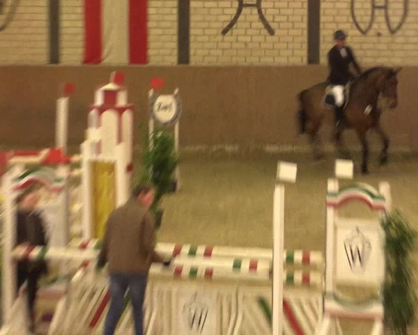 Reitturnier Hamm-Rhynern 2016
