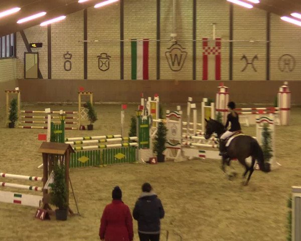Reitturnier Hamm-Rhynern 2016