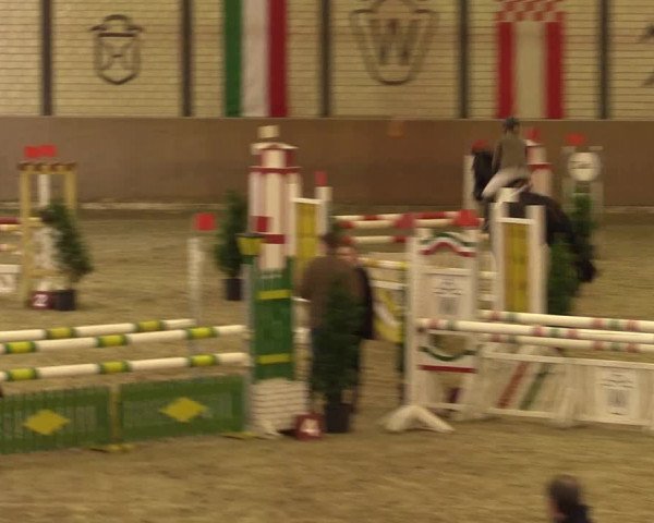 Reitturnier Hamm-Rhynern 2016