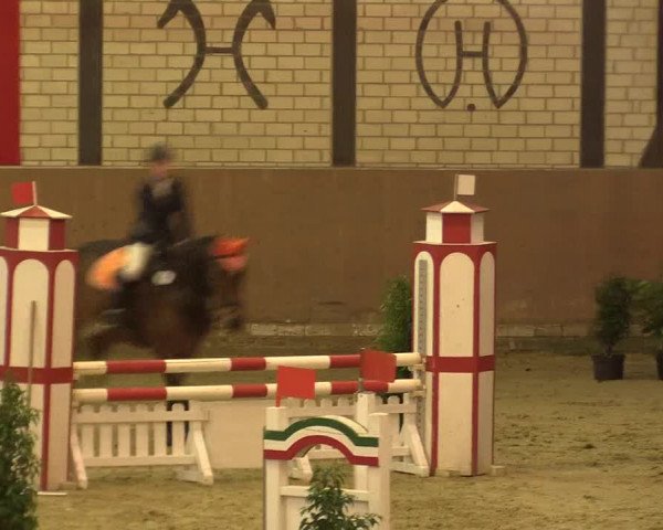 Reitturnier Hamm-Rhynern 2016