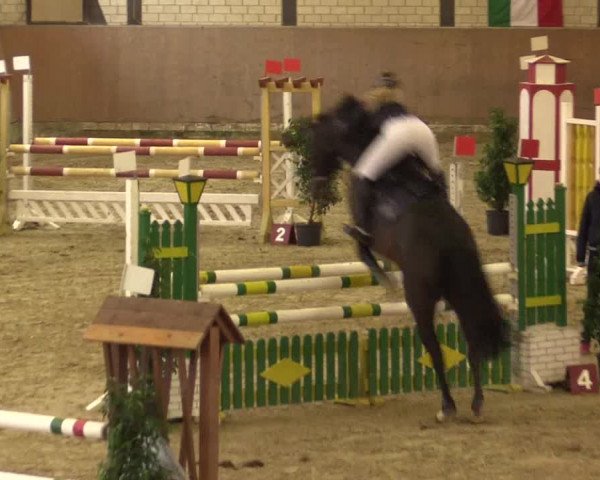 Reitturnier Hamm-Rhynern 2016
