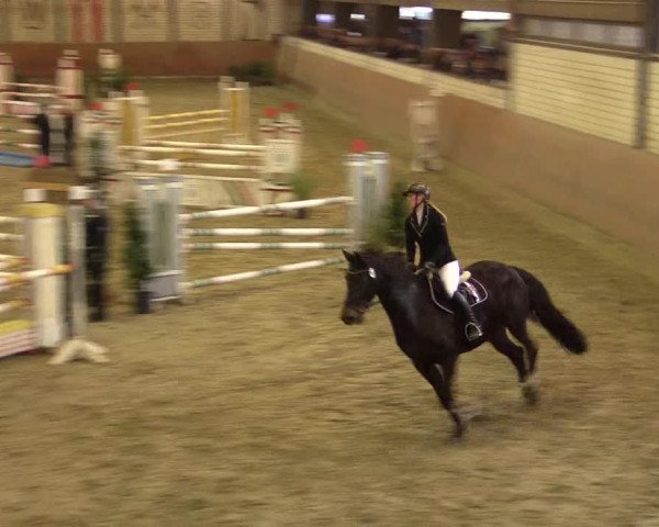 Reitturnier Hamm-Rhynern 2016