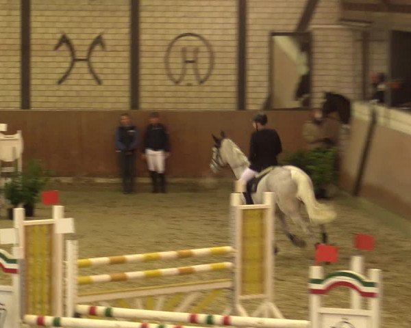 Reitturnier Hamm-Rhynern 2016