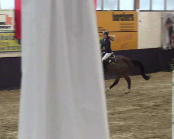 Reitturnier Borken 2016