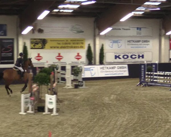 Reitturnier Borken 2016