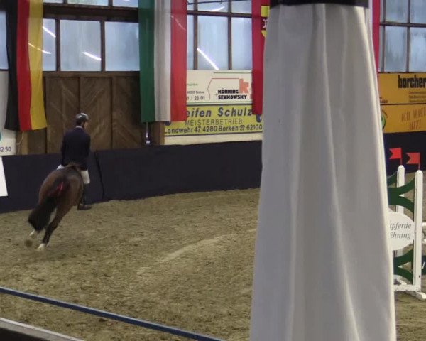 Reitturnier Borken 2016