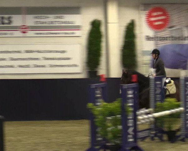 Reitturnier Borken 2016