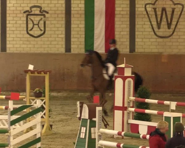Reitturnier Hamm-Rhynern 2016