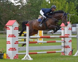 broodmare Freya 352 (KWPN (Royal Dutch Sporthorse), 2010, from Zapatero VDL)