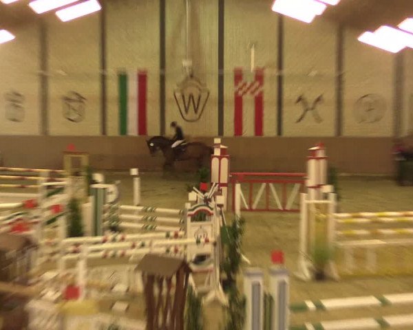 Reitturnier Hamm-Rhynern 2016