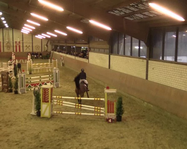 Reitturnier Hamm-Rhynern 2016