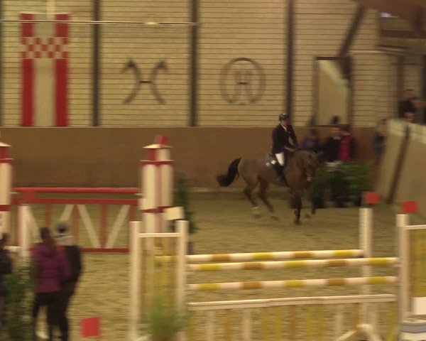 Reitturnier Hamm-Rhynern 2016