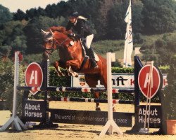 jumper Estella 89 (Oldenburg show jumper, 2010, from Exodus)
