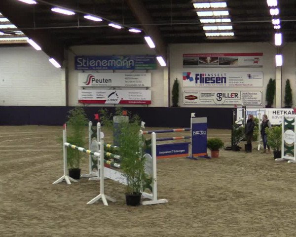 Reitturnier Borken 2016