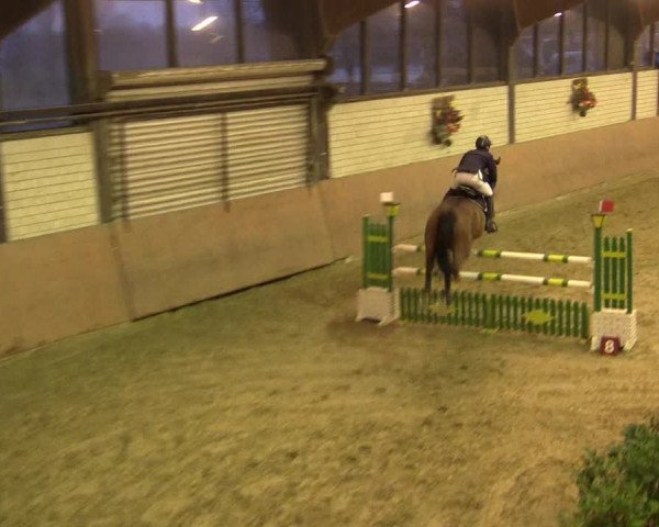 Reitturnier Hamm-Rhynern 2016