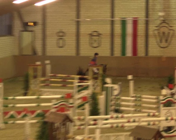 Reitturnier Hamm-Rhynern 2016