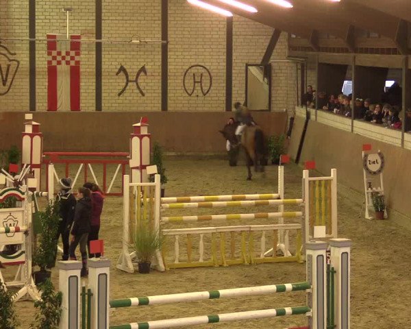Reitturnier Hamm-Rhynern 2016