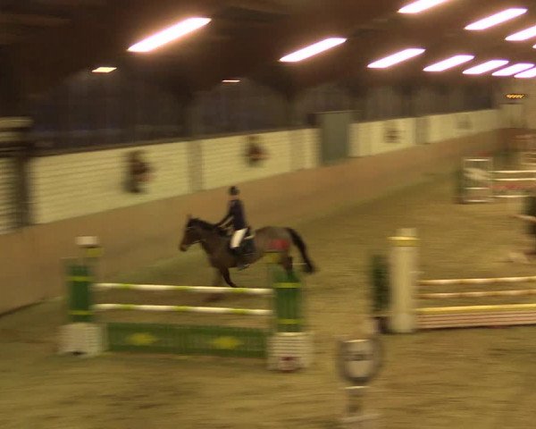 Reitturnier Hamm-Rhynern 2016