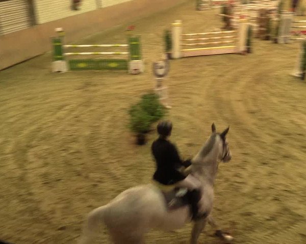 Reitturnier Hamm-Rhynern 2016