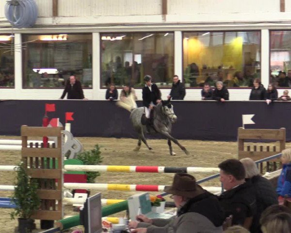 Reitturnier Borken 2016