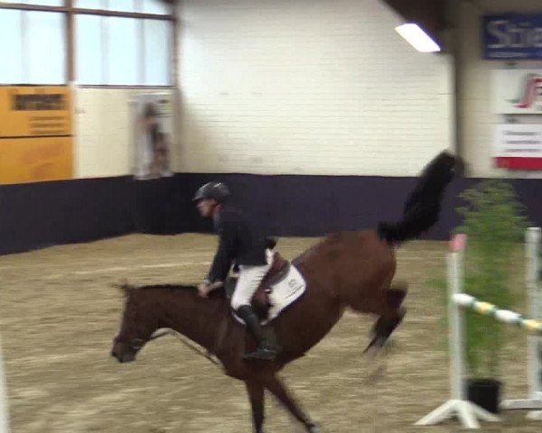 Reitturnier Borken 2016