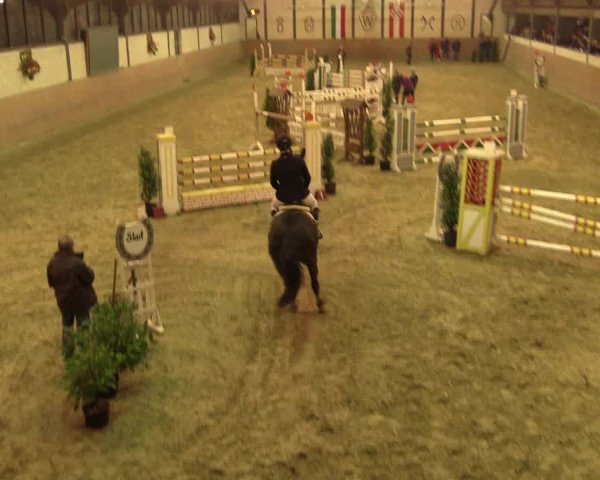 Reitturnier Hamm-Rhynern 2016