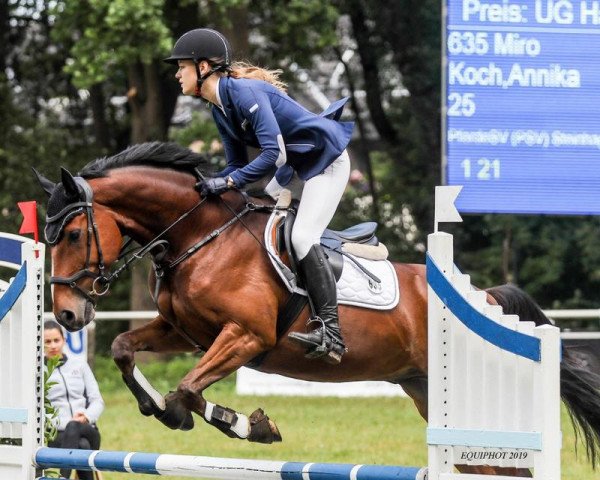 jumper Miró (Trakehner, 2008)