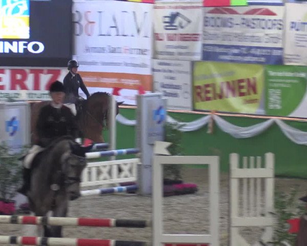 Keppelner Springpferdemeeting 2016