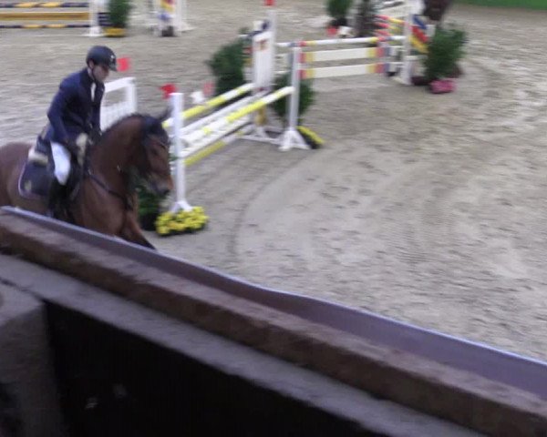 Keppelner Springpferdemeeting 2016