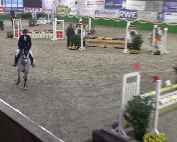 Keppelner Springpferdemeeting 2016