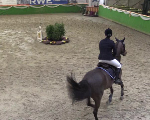 Keppelner Springpferdemeeting 2016