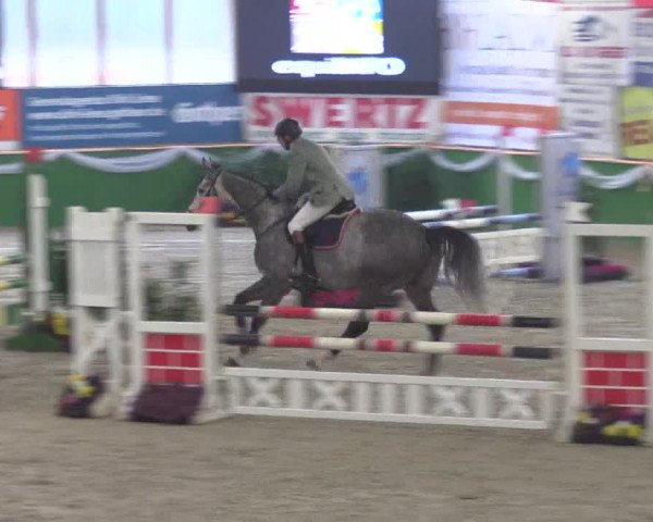 Keppelner Springpferdemeeting 2016