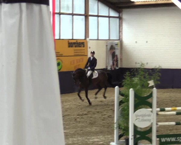 Reitturnier Borken 2016