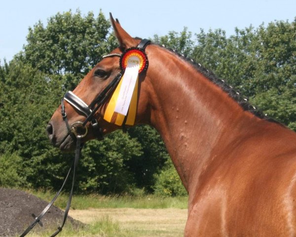 broodmare Fleur de Lis (Oldenburg, 2009, from Fidertanz)