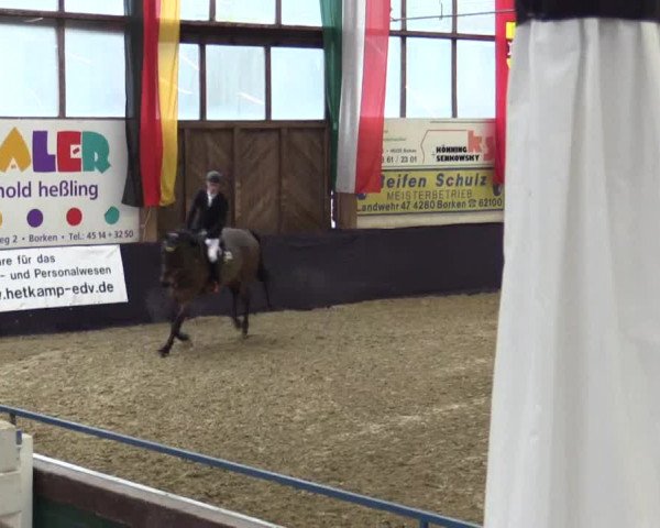 Reitturnier Borken 2016