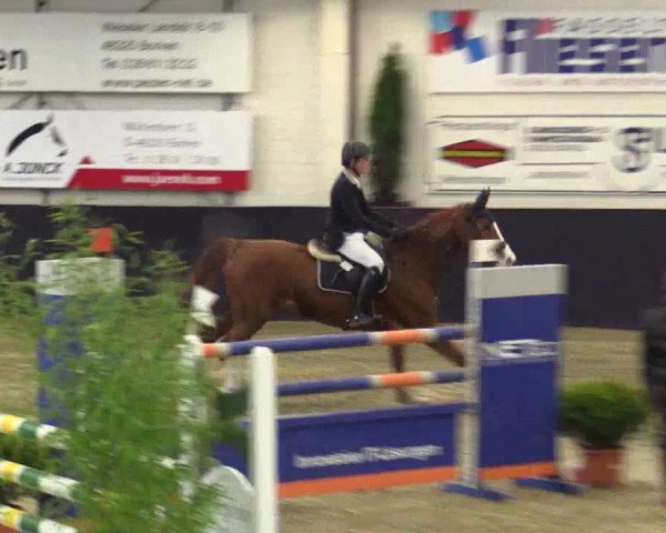 Reitturnier Borken 2016