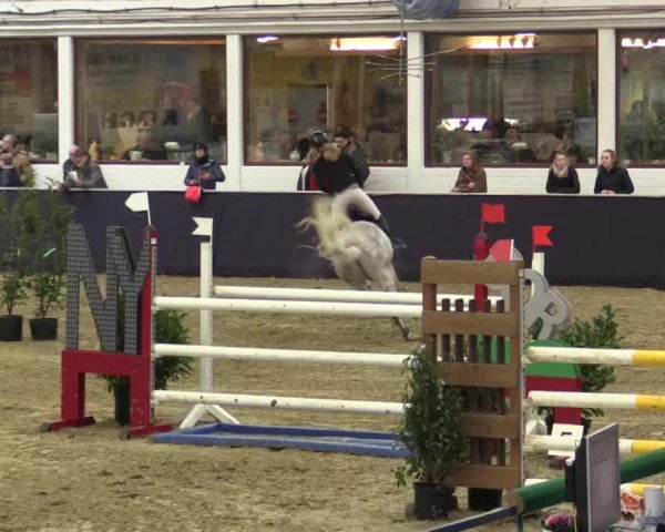 Reitturnier Borken 2016