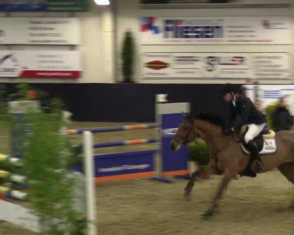 Reitturnier Borken 2016