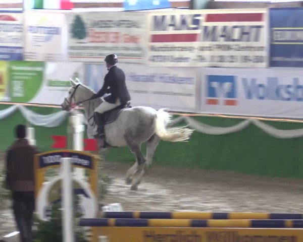 Keppelner Springpferdemeeting 2016