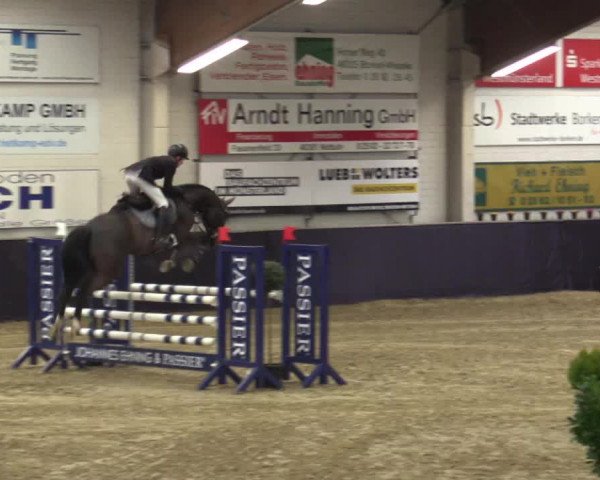 Reitturnier Borken 2016